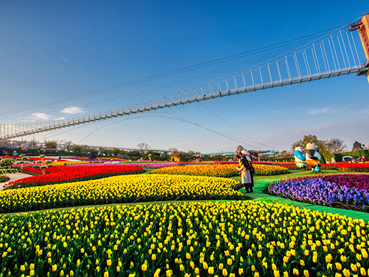 成都曼花莊園景區-浙江鵬鳴游樂設備有限公司
